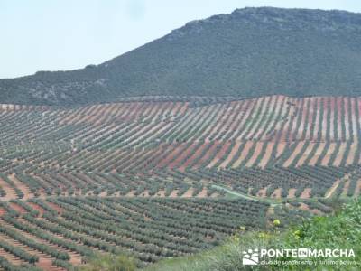 senderos guipuzcoa sierra espuña senderismo rutas senderismo segovia